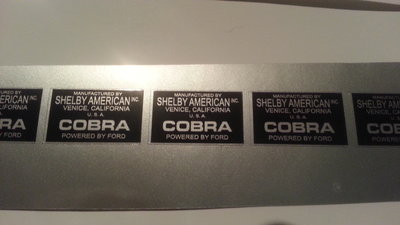 decal 1 daytona.jpg