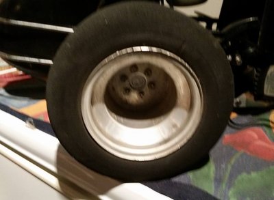 11880594_10207198025688423_7439791946731305939_n.jpg