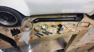 cobra4.jpg