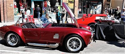 Casey's 2 Cobras (2).jpg