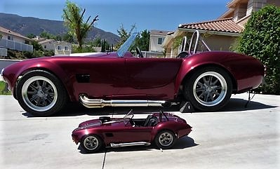 casey's cobras (2).jpg