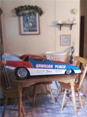 Hawaiian Punch.jpg