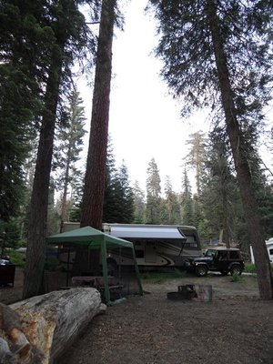 SAM_0874.jpg