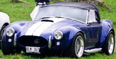 DSC_8605 (800x533).jpg