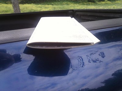rearwing#2.jpg