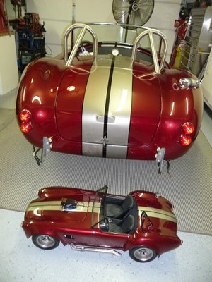 miniscoop0011.jpg
